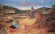 Gentile Bellini The Agony in the Garden china oil painting artist